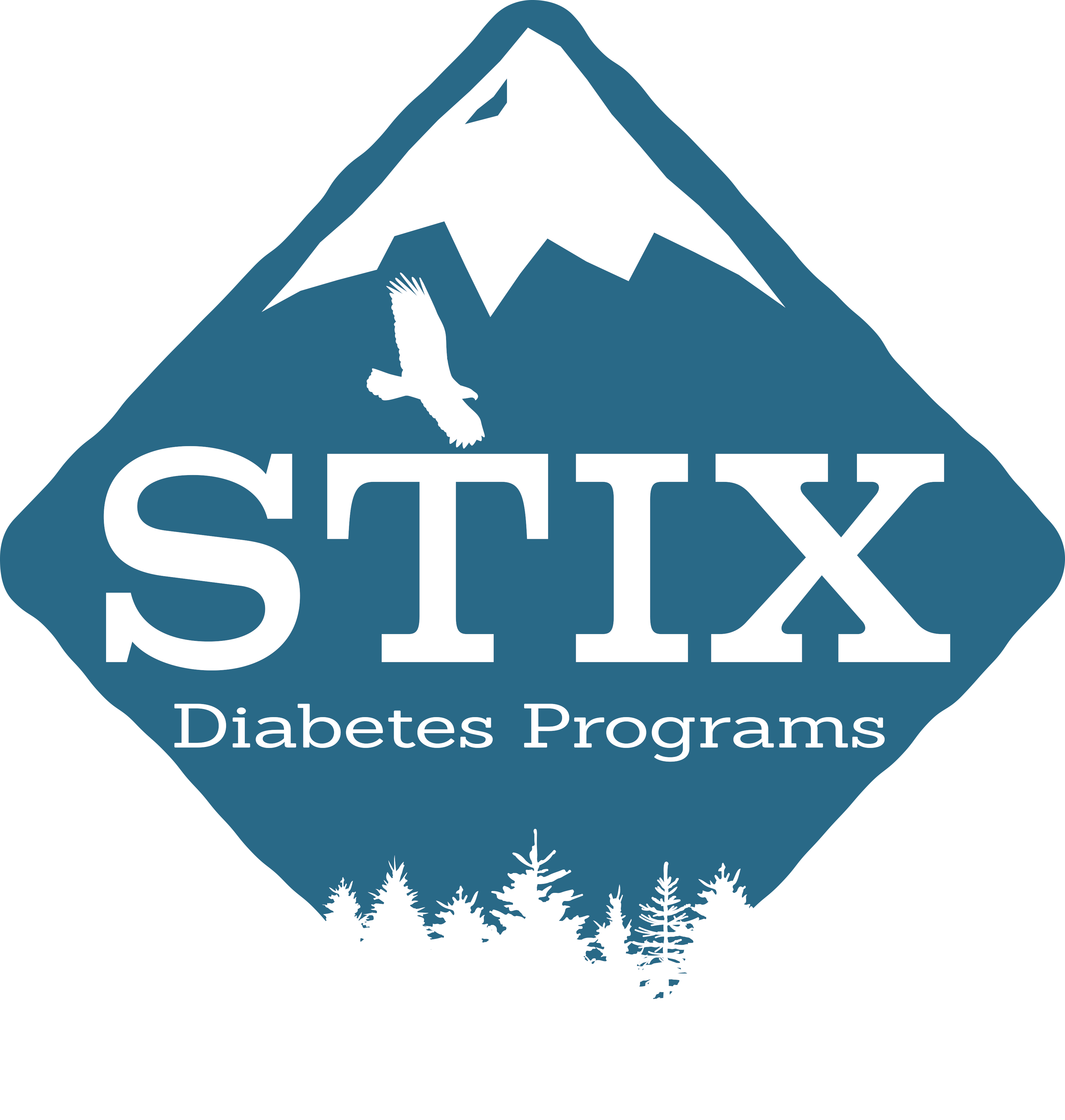 stix-diabetes-program