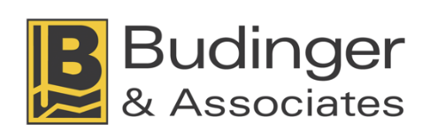 Budinger & Associates Holiday Party